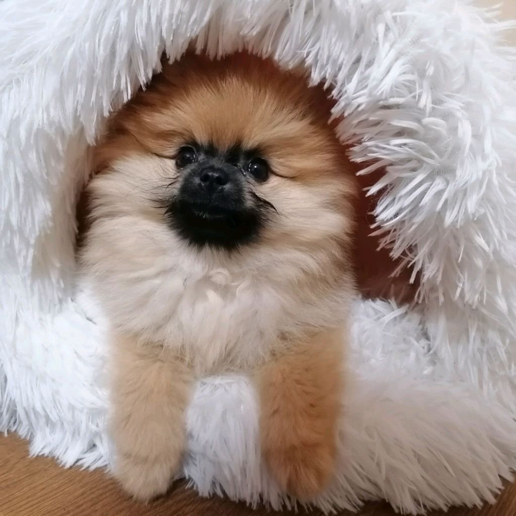 Иконка канала Малышка Мышка.