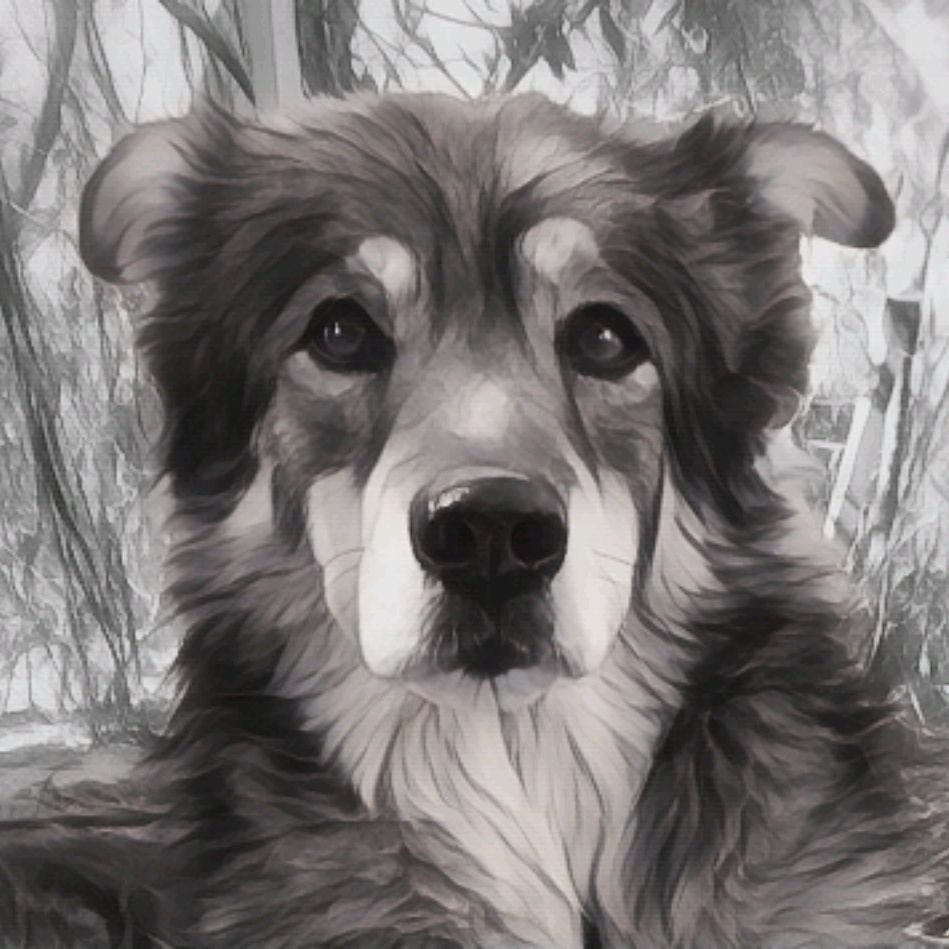 Иконка канала Wiwis Vids