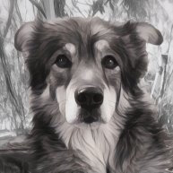 Иконка канала Wiwis Vids