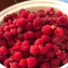 Иконка канала У Светланы огород без обмана