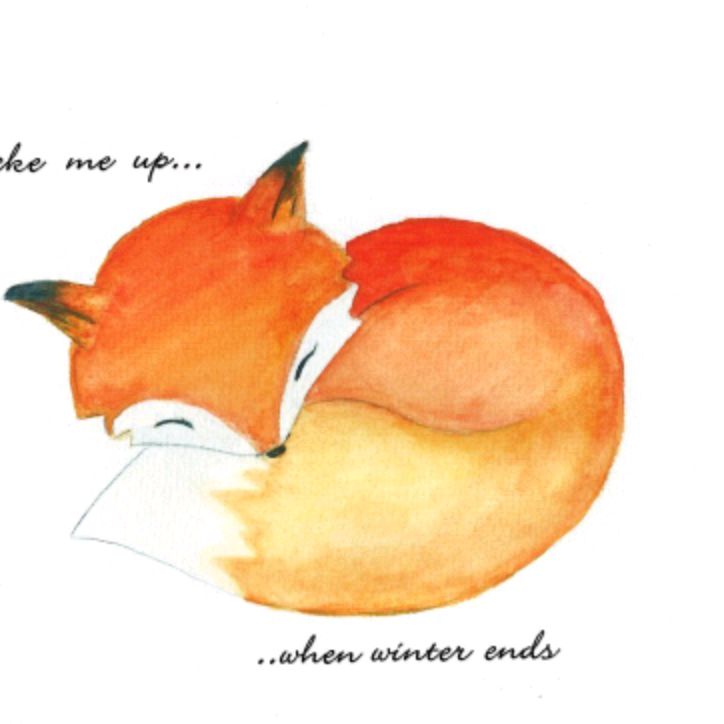 Иконка канала лисья нора