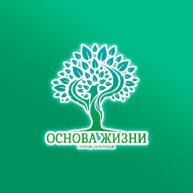 Иконка канала РЕХАБ "Основа Жизни"