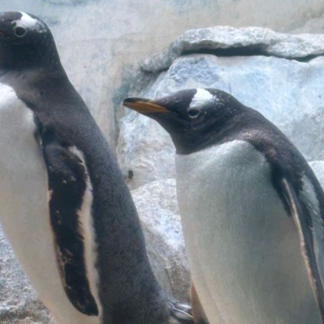 Иконка канала Игорь Поттер