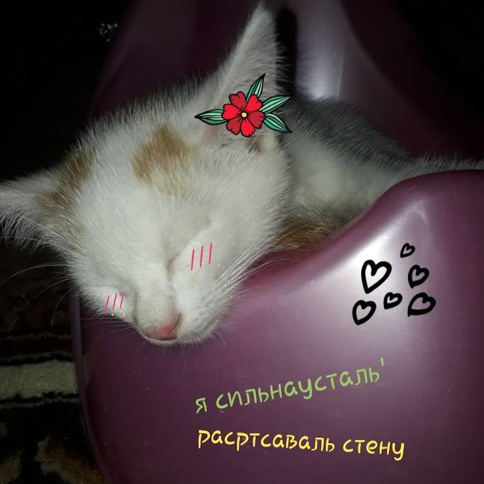 Иконка канала Милый глаз