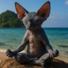 Иконка канала Fufi