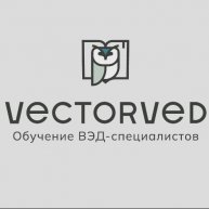 Иконка канала vectorved