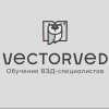 Иконка канала vectorved
