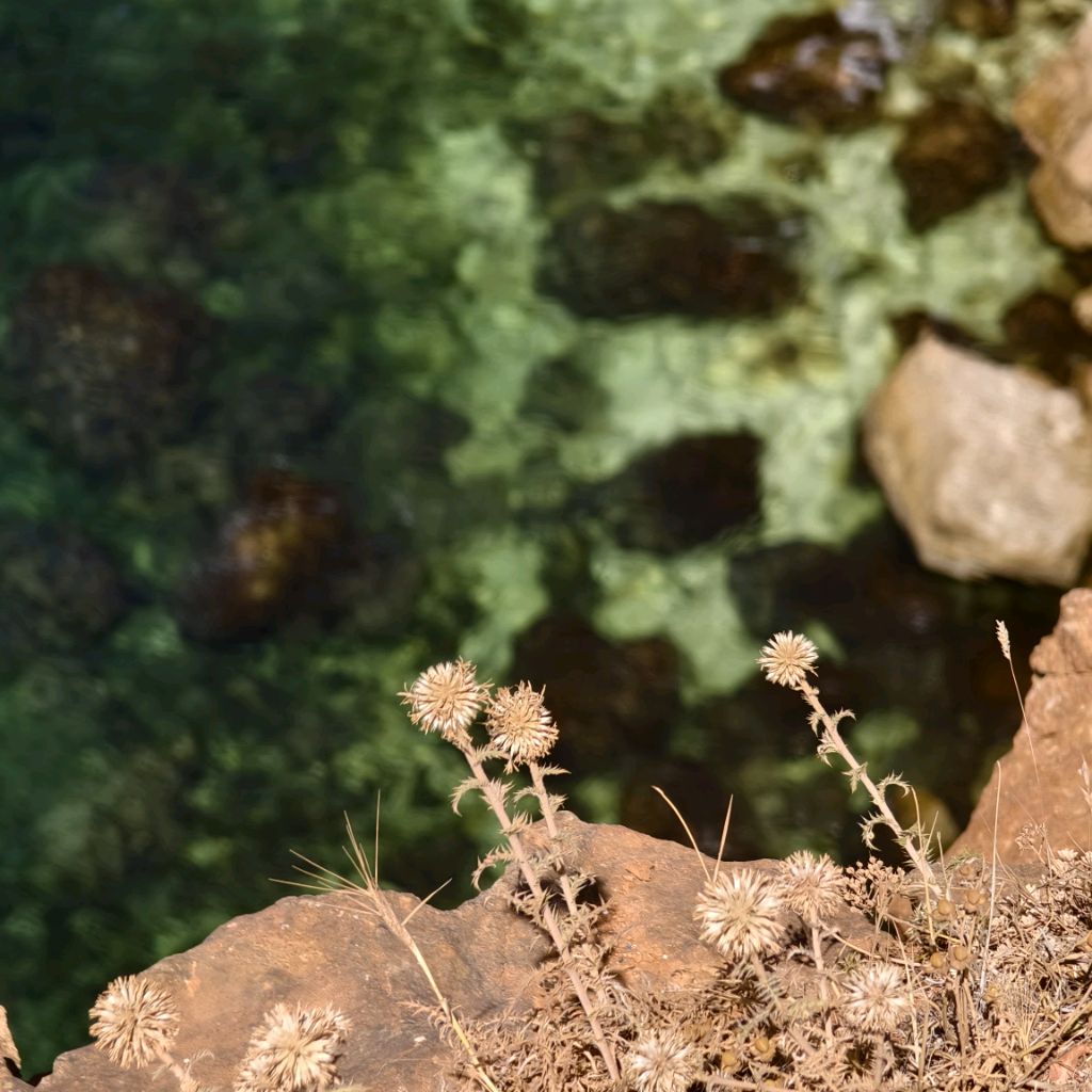 Иконка канала Sahaja yoga life