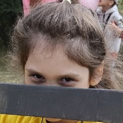 Алиса craft go!