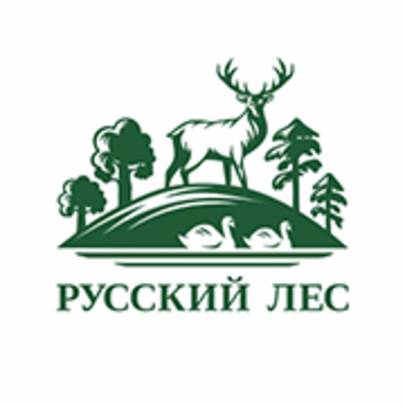 Иконка канала associacia_russkiyles