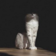 Иконка канала Classic Kolyaction - прохождение без комментариев