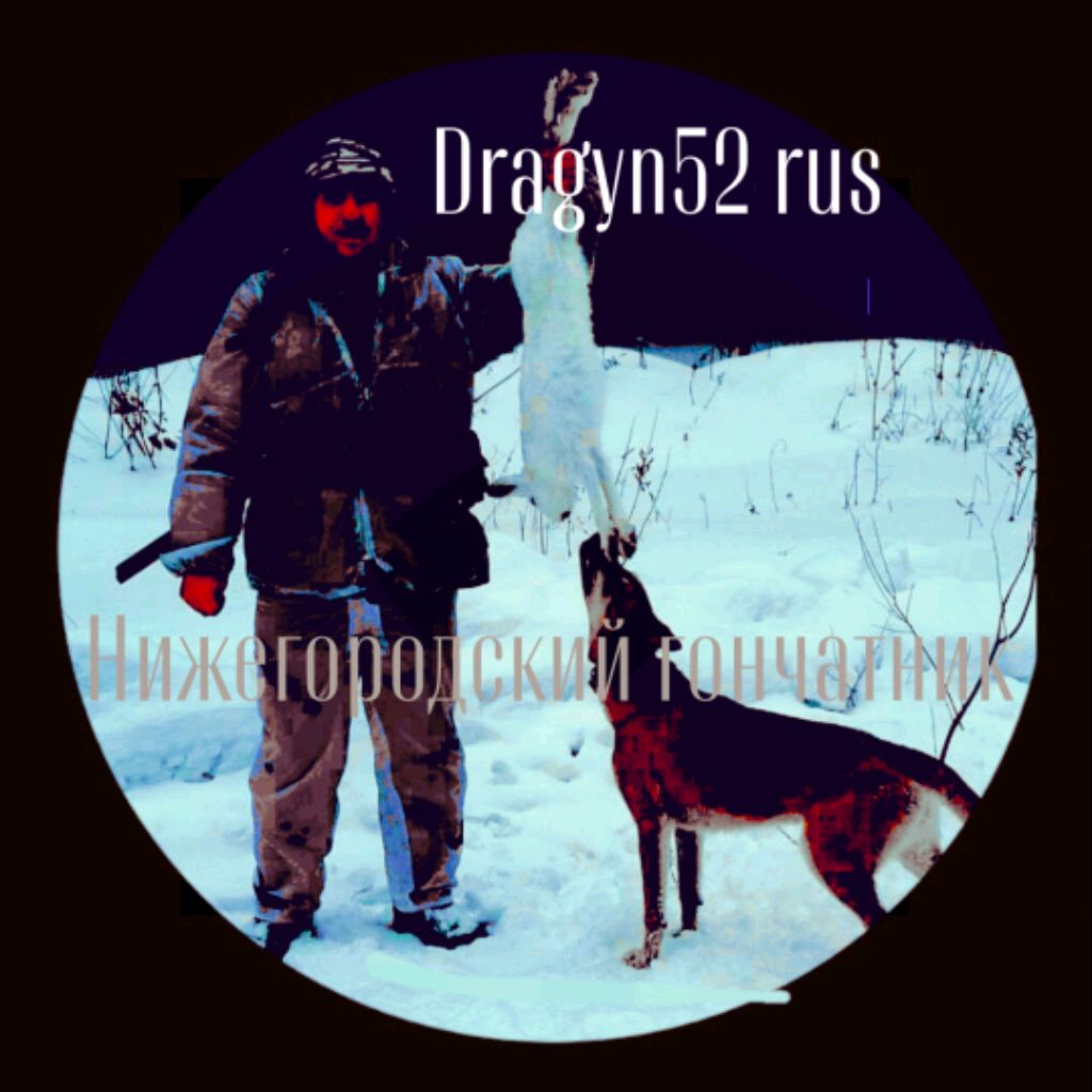 Иконка канала Нижегородский Гончатник Драгун52rus