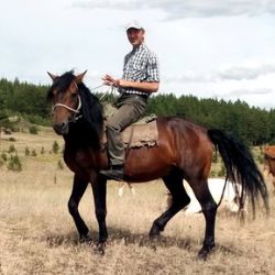 Аватар автора