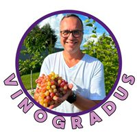 Иконка канала VinogradUS / Виноградник Александра Уставщикова