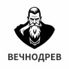 Иконка канала Вечнодрев