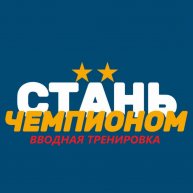 Иконка канала КУРС ОНЛАЙН-ТРЕНИРОВОК "СТАНЬ ЧЕМПИОНОМ"