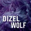 Иконка канала DizelWolf