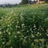 Иконка канала Новая жизнь в ст анице Мартанская