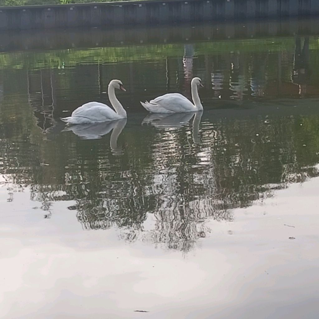 Иконка канала Basanty