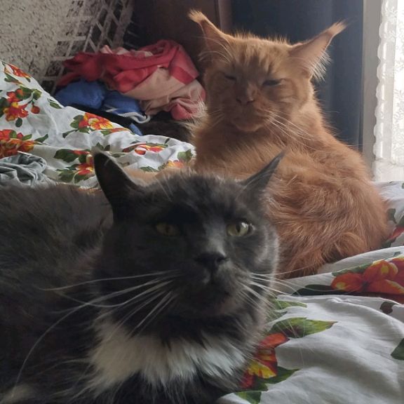 Иконка канала MIX