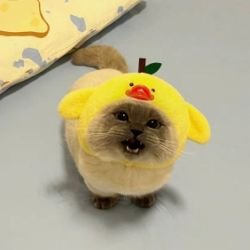 Иконка канала matvei_shkoda