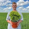 Иконка канала Иван Растения Беларусь
