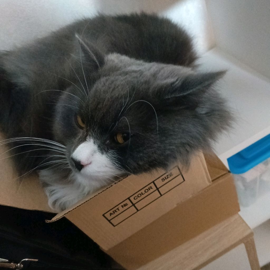 Аватар автора