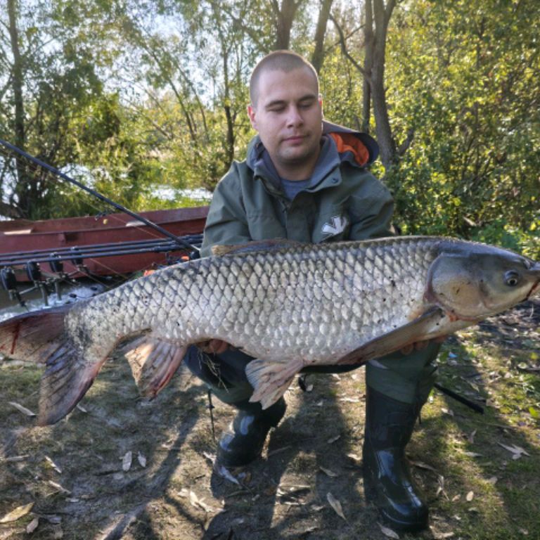 Иконка канала Родион Величко