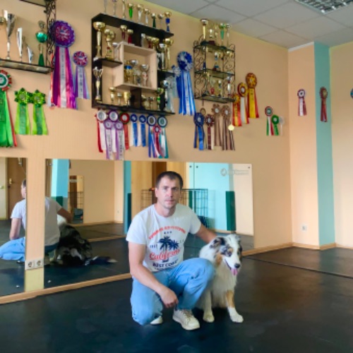 Аватар автора