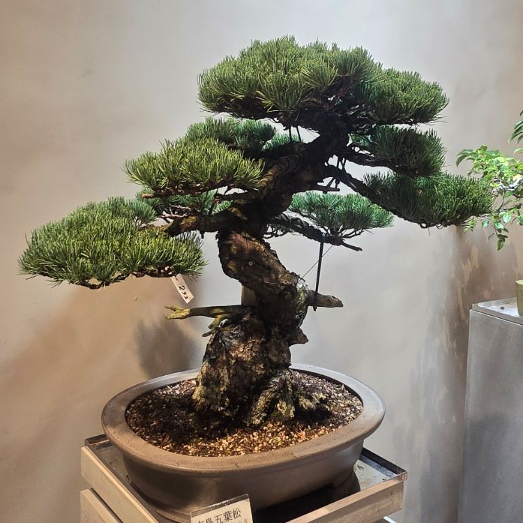 Иконка канала Лёнка