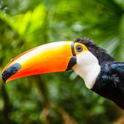 Иконка канала ПЕРЕЗАЛИВЫЧ