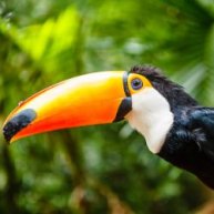 Иконка канала ПЕРЕЗАЛИВЫЧ