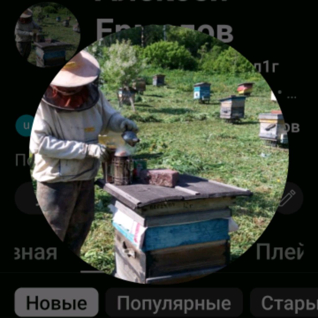 Аватар автора