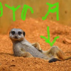 Иконка канала Ваня топ!!!