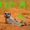 Иконка канала Ваня топ!!!