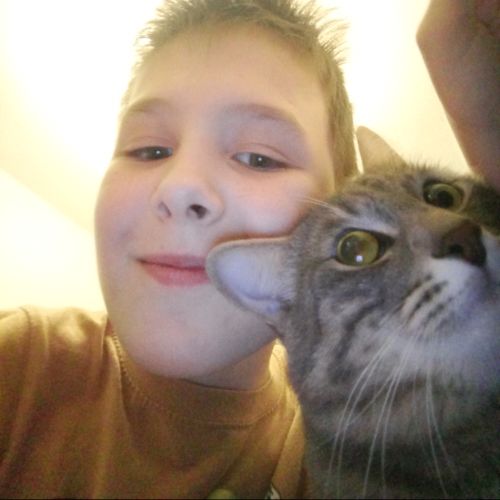 Аватар автора