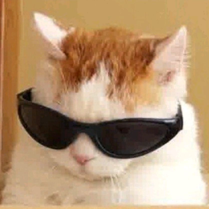 Иконка канала Весёлая компашка