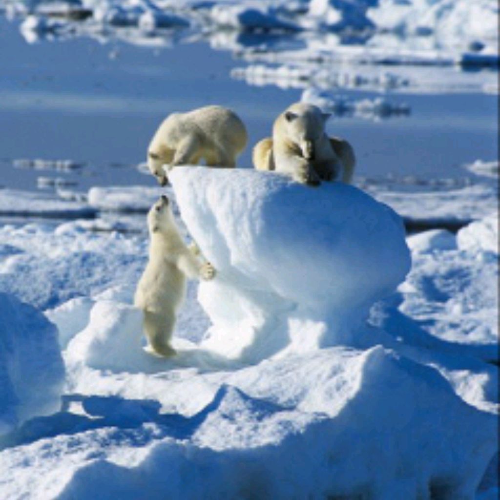 Иконка канала ProHolodUfa