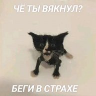 Иконка канала Никитка