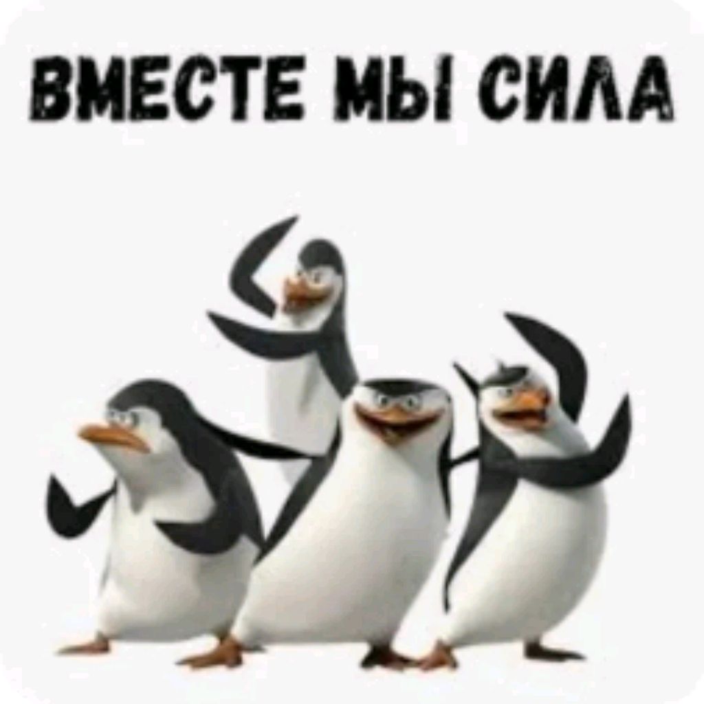 Иконка канала СНКА И Л1СКА💞