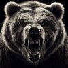 Иконка канала Русский Север