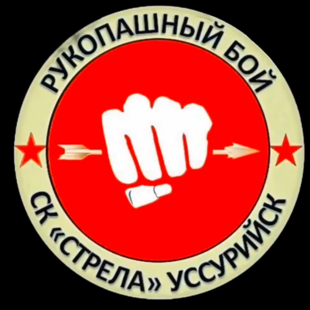 Иконка канала РУКОПАШКА СК "СТРЕЛА"