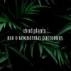 Иконка канала chud.plants