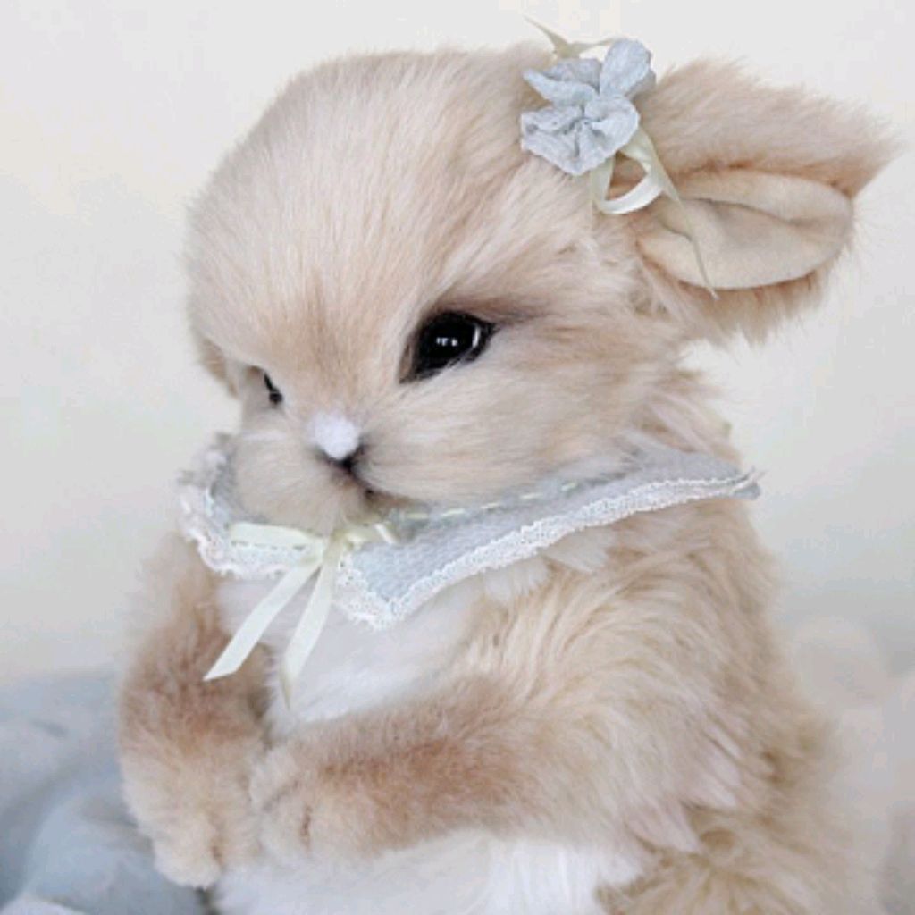 Иконка канала BUNNY🐰