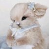 Иконка канала BUNNY🐰