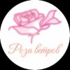 Иконка канала Роза Ветров Волгоград
