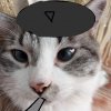 Иконка канала Danya99k
