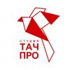 Иконка канала Touch PRO