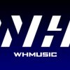 Иконка канала WHmusic