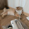 Иконка канала channel68100752